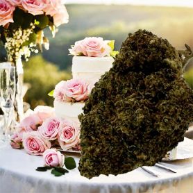 Fleur Wedding Cake THC-JD 10%